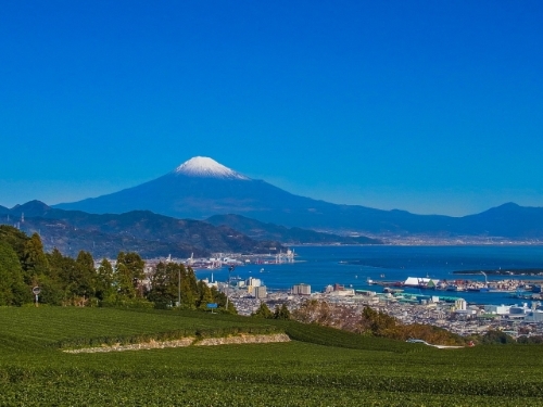 静岡県